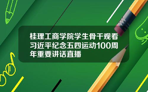桂理工商学院学生骨干观看习近平纪念五四运动100周年重要讲话直播