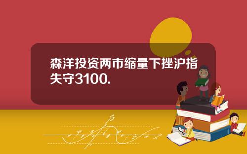 森洋投资两市缩量下挫沪指失守3100.