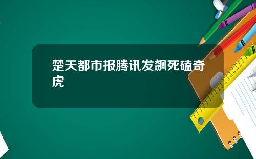 楚天都市报腾讯发飙死磕奇虎