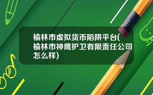 榆林市虚拟货币陷阱平台(榆林市神鹰护卫有限责任公司怎么样)