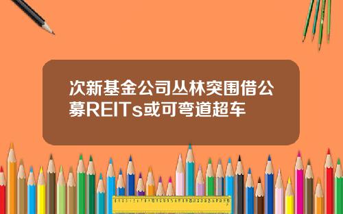 次新基金公司丛林突围借公募REITs或可弯道超车