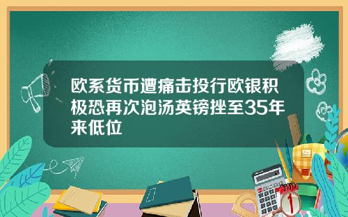 欧系货币遭痛击投行欧银积极恐再次泡汤英镑挫至35年来低位