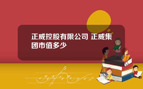 正威控股有限公司 正威集团市值多少