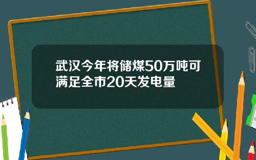 武汉今年将储煤50万吨可满足全市20天发电量