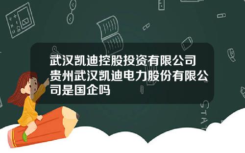 武汉凯迪控股投资有限公司贵州武汉凯迪电力股份有限公司是国企吗
