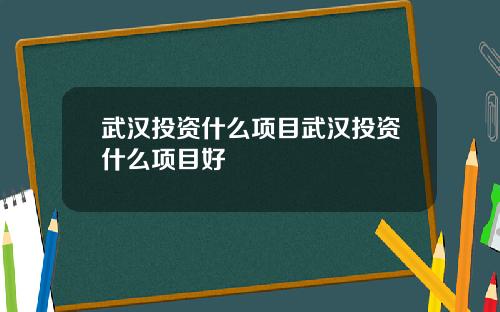 武汉投资什么项目武汉投资什么项目好