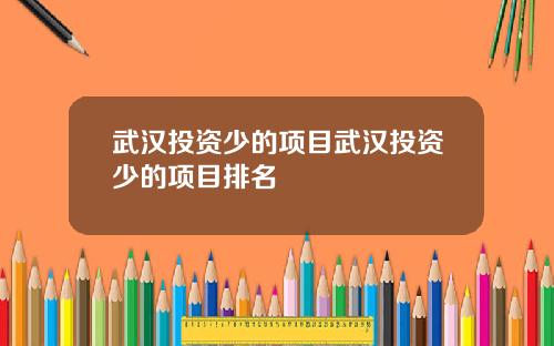 武汉投资少的项目武汉投资少的项目排名