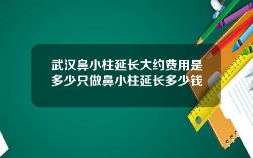武汉鼻小柱延长大约费用是多少只做鼻小柱延长多少钱