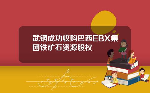武钢成功收购巴西EBX集团铁矿石资源股权