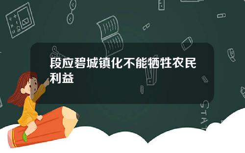 段应碧城镇化不能牺牲农民利益