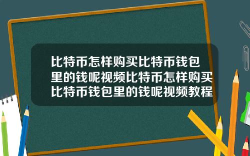 比特币怎样购买比特币钱包里的钱呢视频比特币怎样购买比特币钱包里的钱呢视频教程