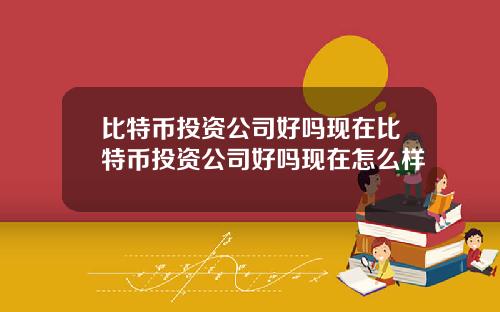 比特币投资公司好吗现在比特币投资公司好吗现在怎么样