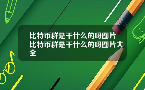比特币群是干什么的呀图片比特币群是干什么的呀图片大全