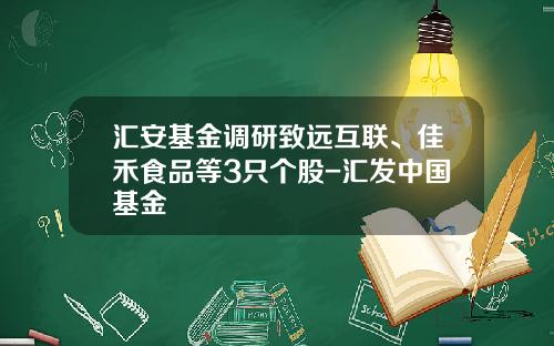 汇安基金调研致远互联、佳禾食品等3只个股-汇发中国基金