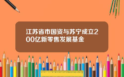 江苏省市国资与苏宁成立200亿新零售发展基金