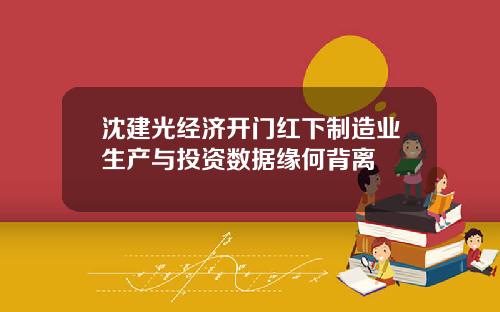沈建光经济开门红下制造业生产与投资数据缘何背离