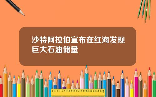 沙特阿拉伯宣布在红海发现巨大石油储量