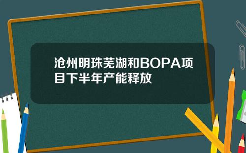沧州明珠芜湖和BOPA项目下半年产能释放
