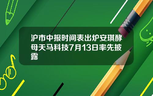 沪市中报时间表出炉安琪酵母天马科技7月13日率先披露