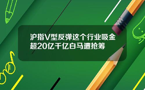 沪指V型反弹这个行业吸金超20亿千亿白马遭抢筹