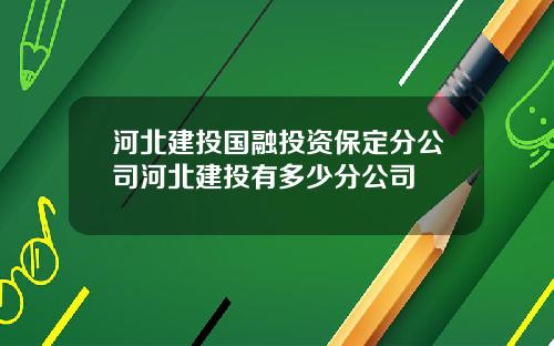 河北建投国融投资保定分公司河北建投有多少分公司