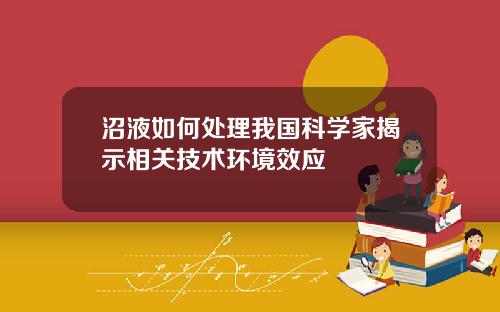 沼液如何处理我国科学家揭示相关技术环境效应