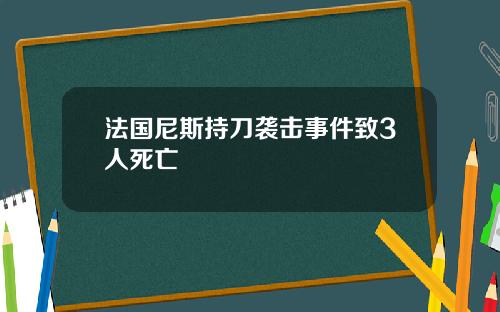 法国尼斯持刀袭击事件致3人死亡