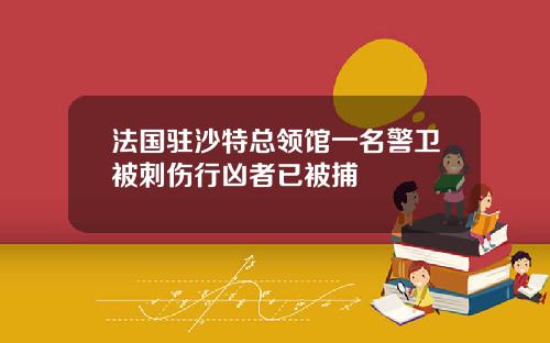 法国驻沙特总领馆一名警卫被刺伤行凶者已被捕