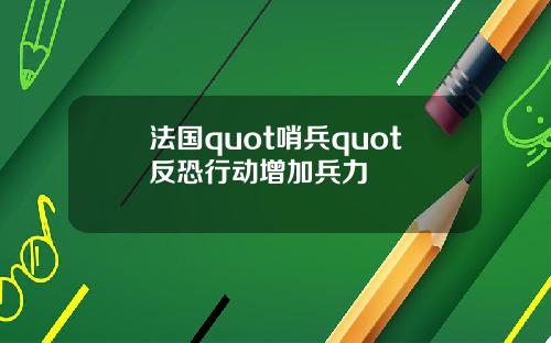 法国quot哨兵quot反恐行动增加兵力