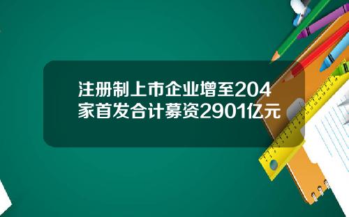 注册制上市企业增至204家首发合计募资2901亿元