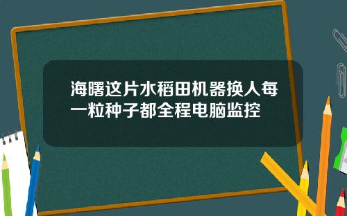 海曙这片水稻田机器换人每一粒种子都全程电脑监控
