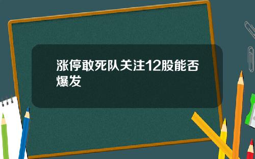 涨停敢死队关注12股能否爆发