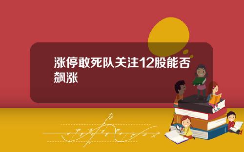 涨停敢死队关注12股能否飙涨