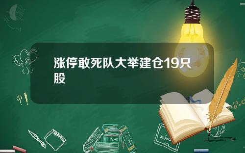 涨停敢死队大举建仓19只股