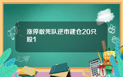 涨停敢死队逆市建仓20只股1