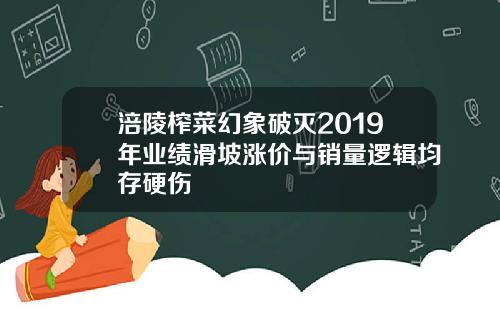 涪陵榨菜幻象破灭2019年业绩滑坡涨价与销量逻辑均存硬伤