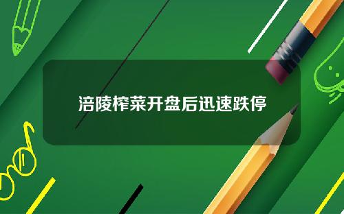 涪陵榨菜开盘后迅速跌停