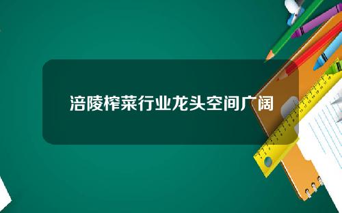 涪陵榨菜行业龙头空间广阔