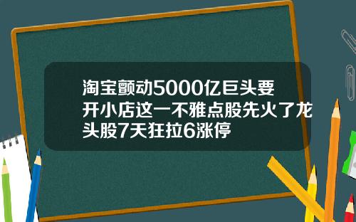 淘宝颤动5000亿巨头要开小店这一不雅点股先火了龙头股7天狂拉6涨停