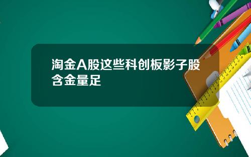淘金A股这些科创板影子股含金量足