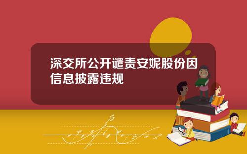 深交所公开谴责安妮股份因信息披露违规