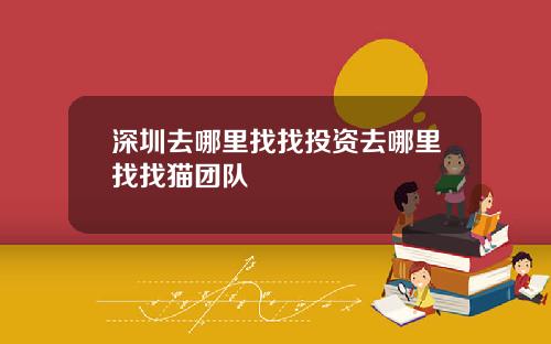深圳去哪里找找投资去哪里找找猫团队