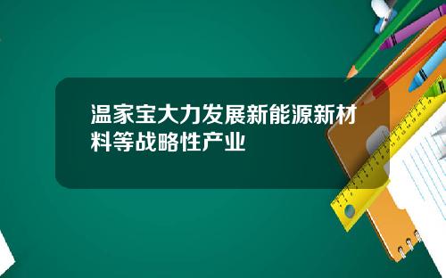 温家宝大力发展新能源新材料等战略性产业