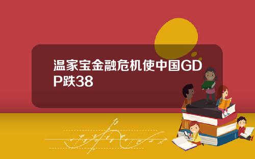 温家宝金融危机使中国GDP跌38