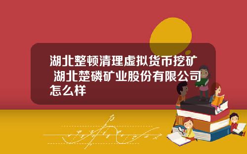 湖北整顿清理虚拟货币挖矿 湖北楚磷矿业股份有限公司怎么样