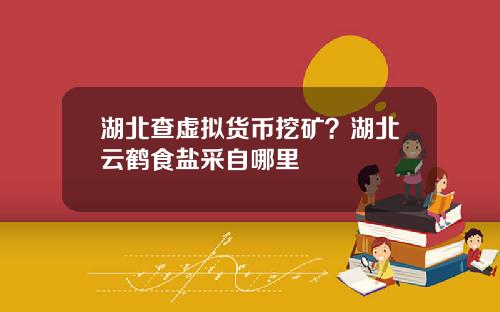 湖北查虚拟货币挖矿？湖北云鹤食盐采自哪里