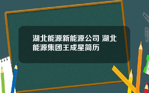 湖北能源新能源公司 湖北能源集团王成星简历