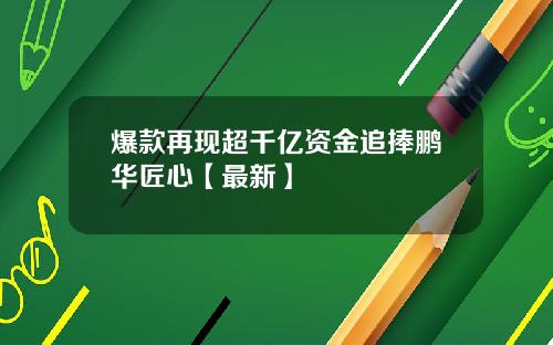 爆款再现超千亿资金追捧鹏华匠心【最新】