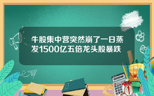 牛股集中营突然崩了一日蒸发1500亿五倍龙头股暴跌