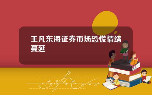王凡东海证券市场恐慌情绪蔓延